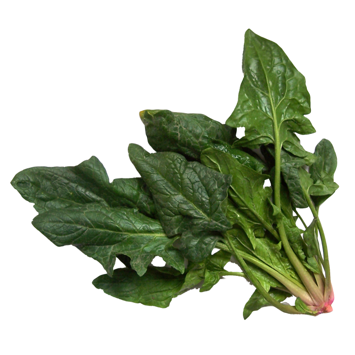 Baby Spinach
