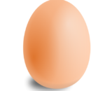 Free-Range Eggs