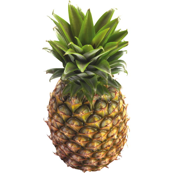 Golden Pineapple