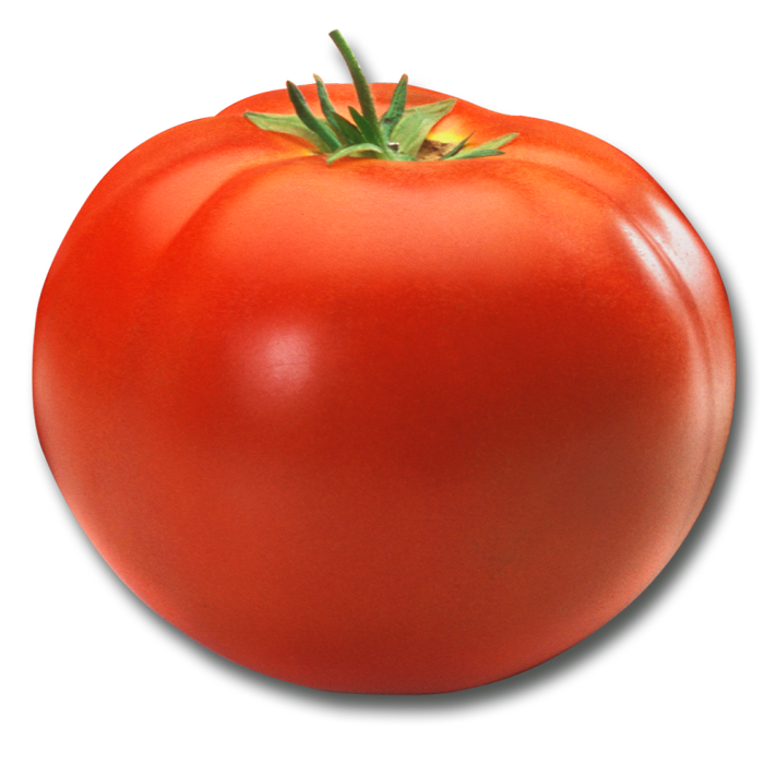 Vine Tomatoes